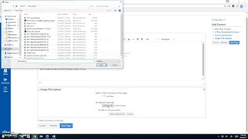 Upload PDF Assignment to Canvas