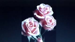 Taylor Trio (violin, 'cello and piano):  "Hearts and Flowers"  (1916)