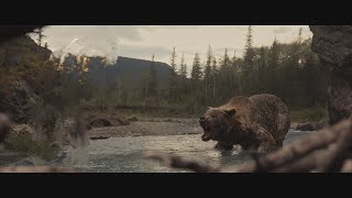 Predator vs Bear | Prey 2022