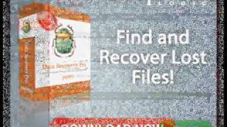ParetoLogic  Data Recovery Software