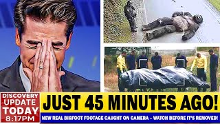 Crystal Clear BIGFOOT Footage Leaves Wildlife Experts SHOCKED – Watch Before It’s Removed!