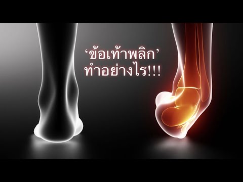 ข้อเท้าพลิก ดูแลตัวเองอย่างไร by Rebalance Clinic