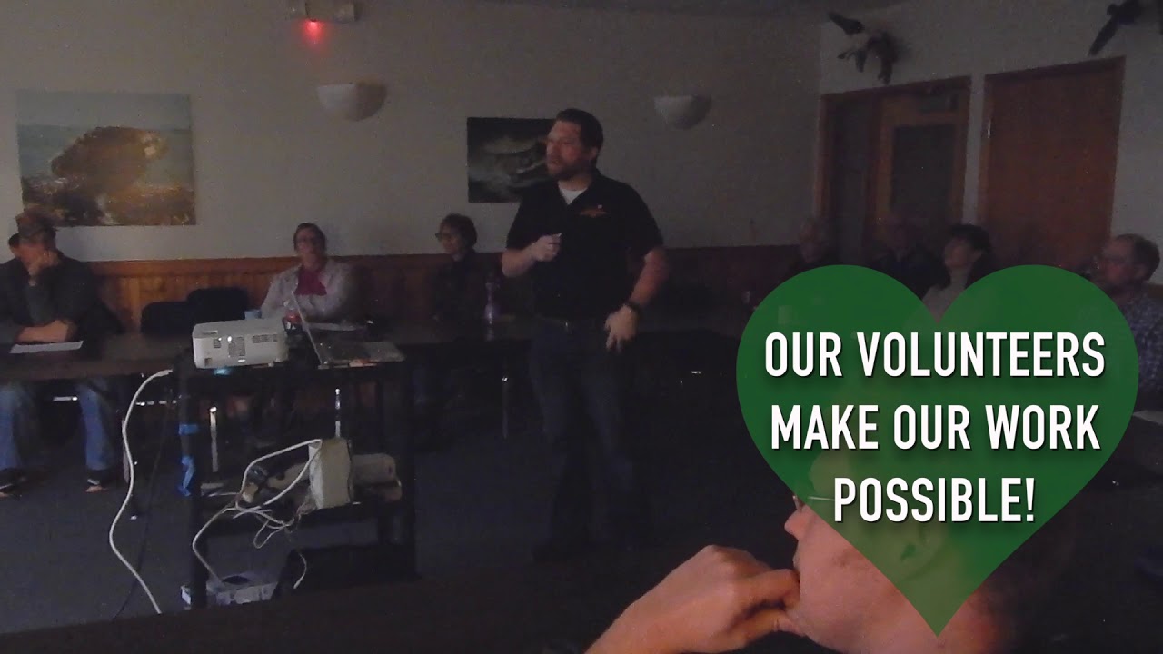 video phone beyonce mp3 Our Volunteers Make Our Work Possible!