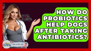 How Do Probiotics Help Dogs After Taking Antibiotics? - Ask A Pet Vet