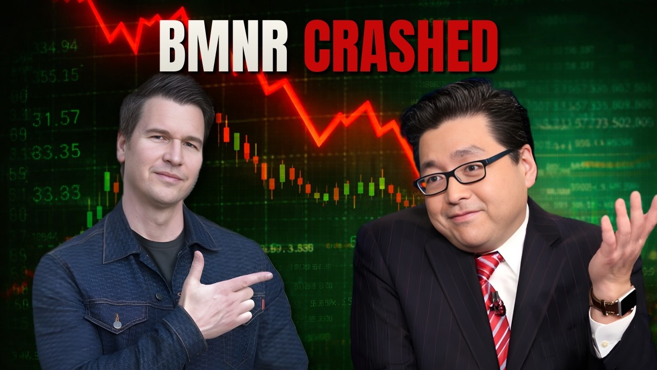 BMNR Crash: Is The Bottom Finally In? (My Buy Levels), Bitcoin Below $65,000