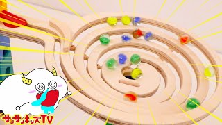 巨大ピタゴラスイッチの組み方4選！クアドリラを組み立てて英語で色を学ぶ！【Quadrilla】マーブルラン Learn colors 子供向け知育教育★サンサンキッズTV★ screenshot 4