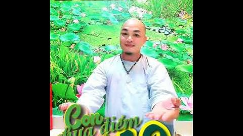 CON CHƯA ĐIỂM MƯỜI | Tô Tài Năng | Sáng tác Jenny Thủy Đinh & To TAI NANG | Tình Ca còn mãi