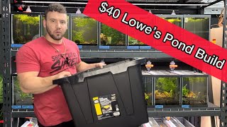 I Built a Pond from Lowe’s for $40… Then Shipped in 116 Fish for my 10 Gallon Fish Tanks!
