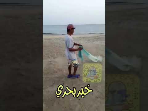 طريقة رمي السالية