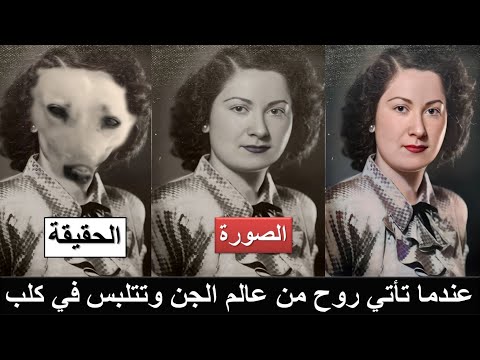 سناء يوسف في ليلة فرحها وجدت عريسها يمارس الجنس مع كلبةواكتشفت أنه خاضع لها وأنها جاءت من عالم آخر