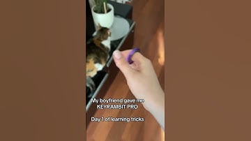 Will I get better at this? 🤣 #keyrambit #keyrambitpro #smallbusiness