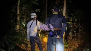 Berburu Kancil Di Malam Hari