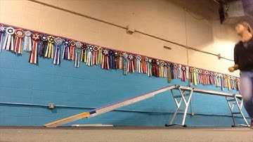 running dogwalk training