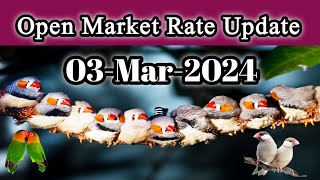 Open Market Rate Today l Lalukhet Birds Market 03 Mar 24 l V No 253 Sur Birds Channel