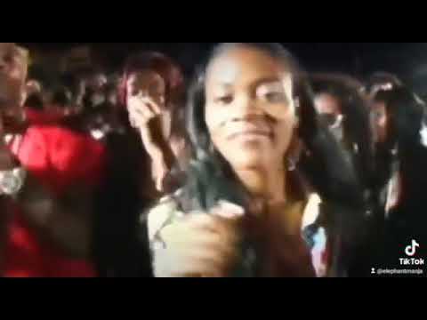 elephant man Willie bounce