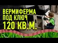 Вермиферма 120 кв.м. Производство червей для рыбалки. Дендробена Венета. Обзор вермифермы.