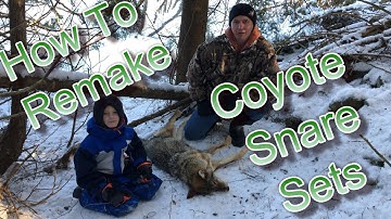 Best way to remake a coyote snare after a catch