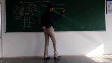 8051 Microcontroller - lecture   2