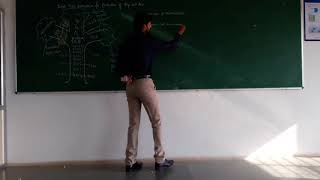 8051 Microcontroller - lecture   2