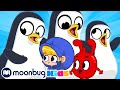 My Magic Pet Morphle - March of the Giant Penguins! | Full Episodes | Funny Cartoons for Kids