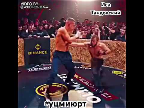 TopDog Тандовский vs