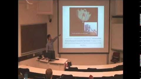 Cenk Baykal - "User Interface and Design Optimization for Concentric Tube Robots"