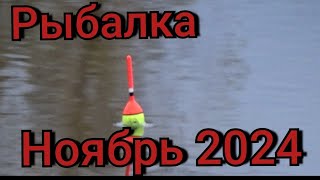видео: Рыбалка на поплавок 30 ноября 2024 г.на лесном канале!Эта рыба гнёт маховую удочку в дугу!Жор плотвы картинка: Рыбалка на поплавок 30 ноября 2024 г.на лесном канале!Эта рыба гнёт маховую удочку в дугу!Жор плотвы