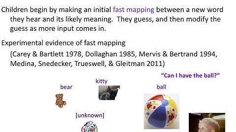 AcqofLang2: Fast Mapping
