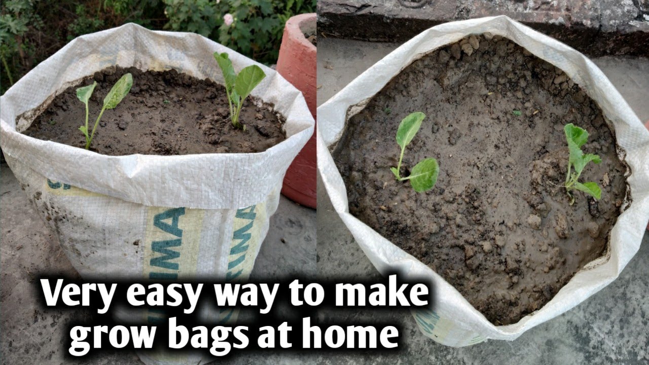 Easiest Way To Make Grow Bag At Home / Grow Bag Making At Home