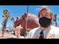 Filming Locations Inside The Worlds Biggest Dinosaurs - The Wizard / Whats Left of Large Marge Diner