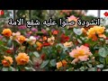 انشودة صلوا عليه شفيع الامة