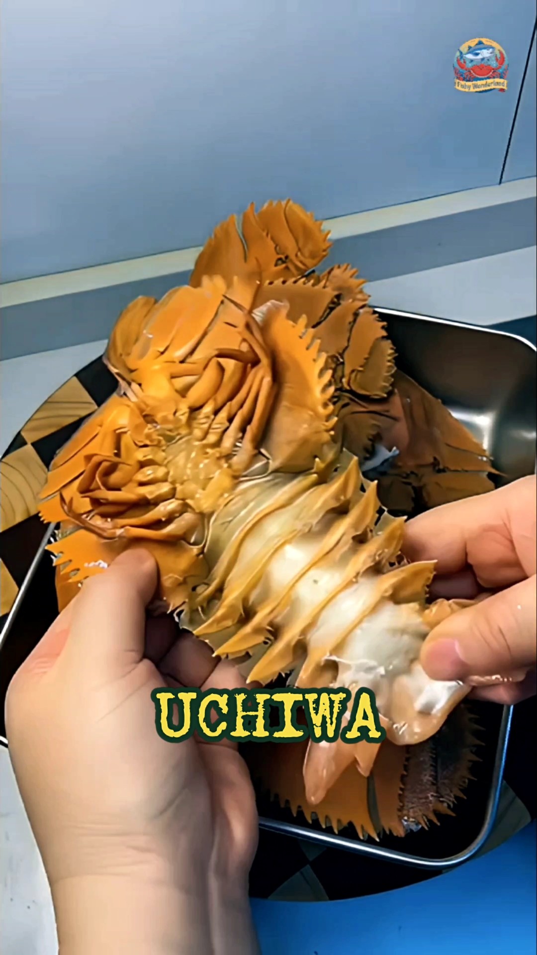 🇯🇵 Japan's Hidden Seafood Treasure - Uchiwa Ebi 🦞 #lobster