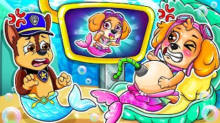 Brewing Cute Baby Mermaid - SKYE Is PREGNANT?! - Paw Patrol Ultimate Rescue | Rainbow Friends 3