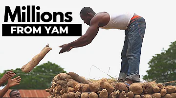 ¿Qué significa Yam en nigeriano?
