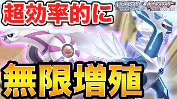 無限増殖バグ 無限増殖バグ