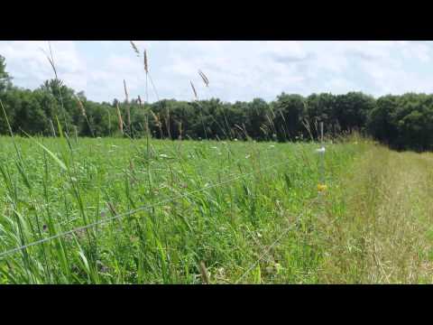 Pasture Soil Health