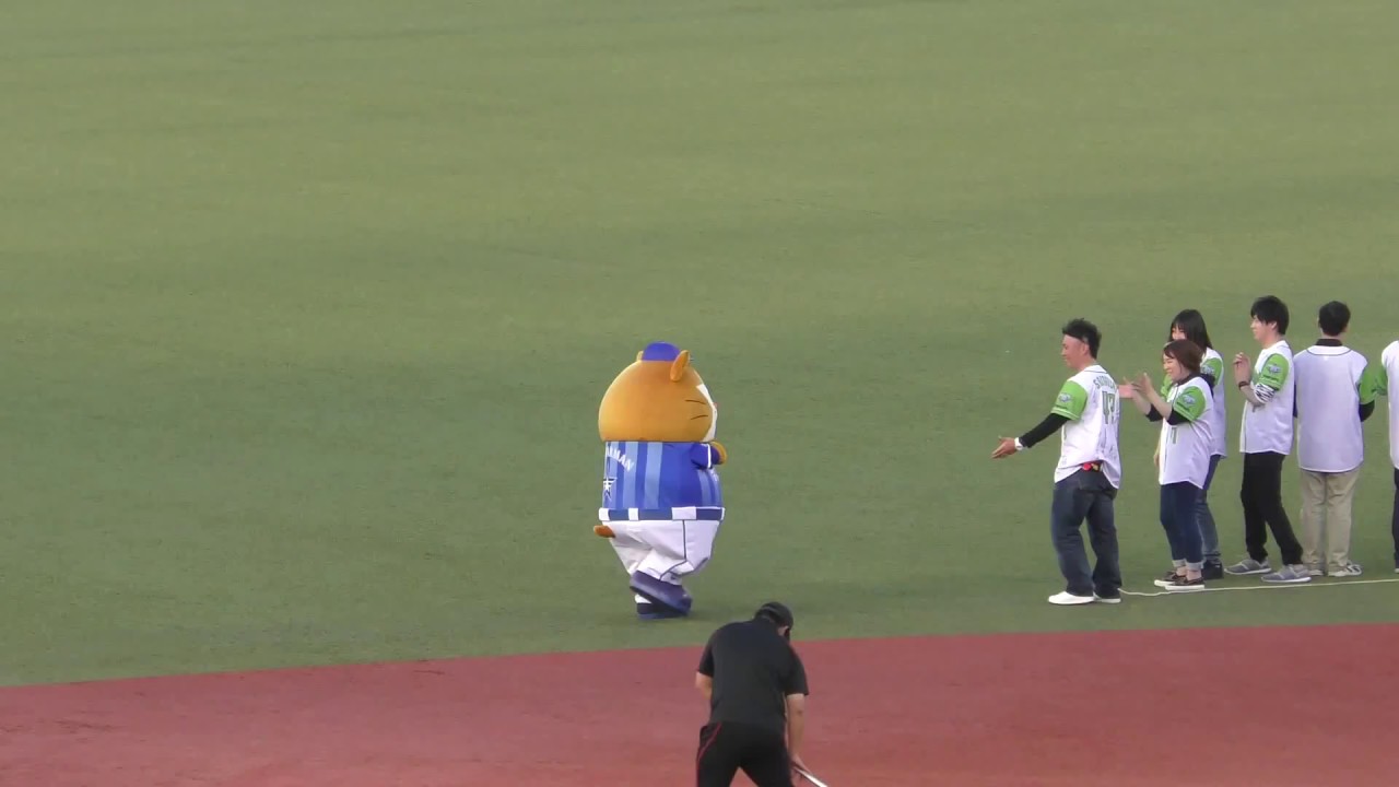 ヤクルトファンを挑発するｄｂスターマン が可愛いと笑われる Youtube