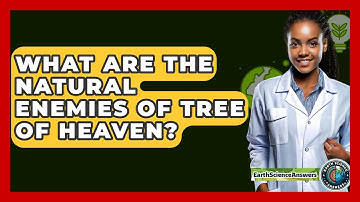 What Are The Natural Enemies Of Tree Of Heaven? - Earth Science Answers