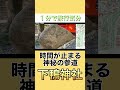 【世界遺産】下鴨神社の自然がレベチだった件 #下鴨神社#賀茂御祖神社#京都観光#糺の森#世界遺産#京都旅行#神社巡り#国内旅行#京都おすすめ#パワースポット開運旅