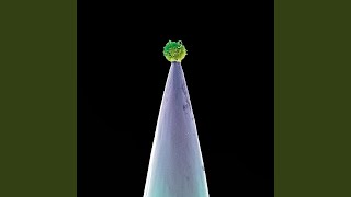 Download Lagu Mercy Street MP3