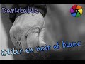 [FR] Editer en noir et blanc avec darktable V2