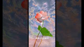 农历九月十九，恭迎观音菩萨出家日！