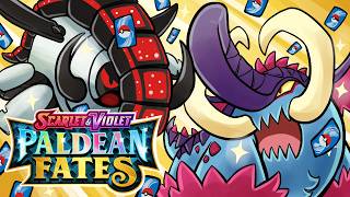 We Battled With The BIGGEST Pokemon TCG Collection Boxes