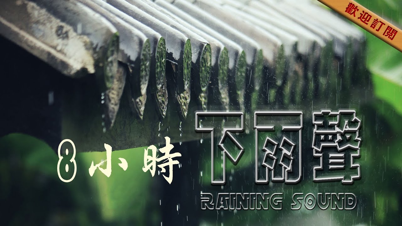 YouTube पर 8 hours the sound of rain 【 8小時無廣告·深度睡眠·輕雷下雨聲 】高音质大自然白噪音 देखें