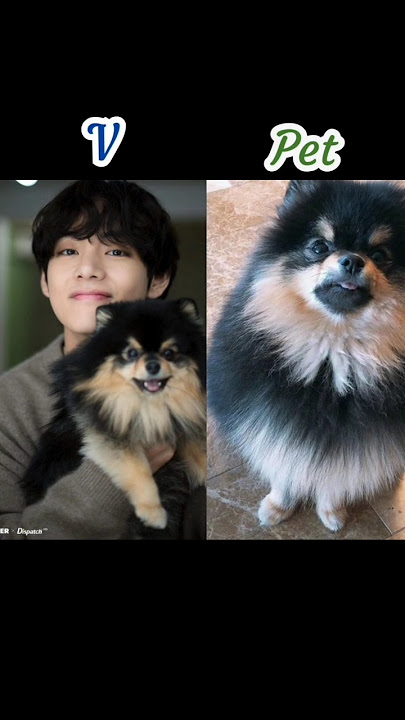 BTS member's with their pets✨ comment your favorite idol name 😍#kpopidolk #jk #rm #jimin #jin #btsv