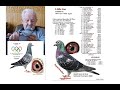 New collection of racing pigeons