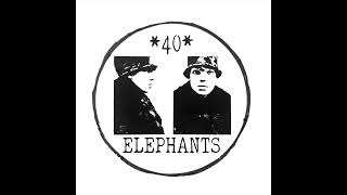 40 Elephants - Pixie Dust