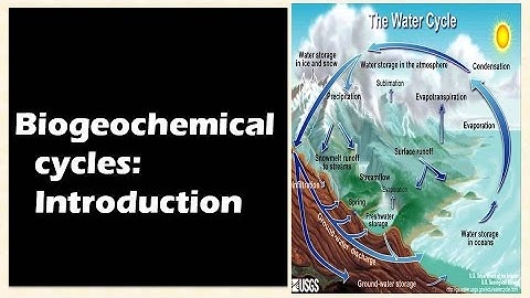 Environment and ecology: Biogeochemical cycling: Introduction  : Learn Online