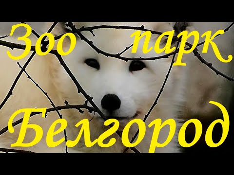 Белгородский зоопарк 2022