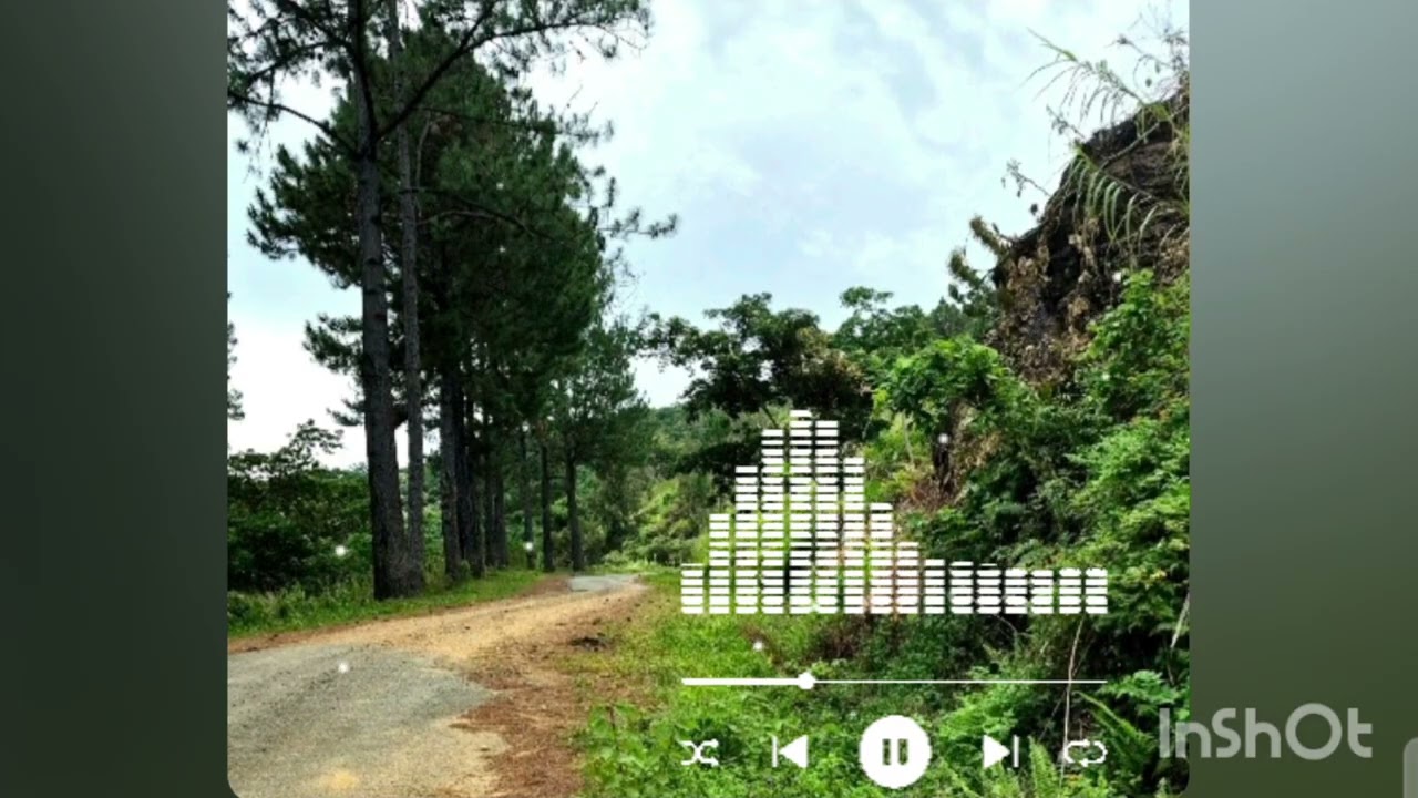 ƏnOk 🇳🇨....#Reggae2026 #te parler 🫶🌺